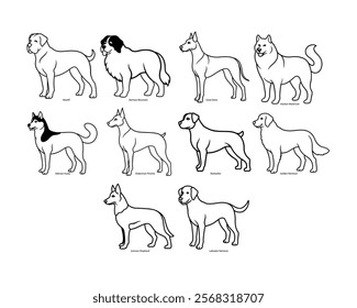 Set of Large Breeds dog Line Art vector Illustration