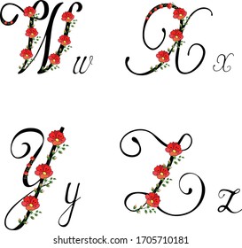 Set of large handwritten letters W X Z Y.  Elegant handwritten script font vector design. Calligraphy. Font letters lowercase letters. Set of large letters for writing texts celebrate holiday. Vector 