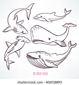 Set of large ocean creatures. hand-drawn illustration