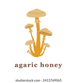 Set of large and small agaric honey mushrooms. edible mushrooms. Isolated vector illustration.