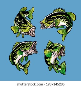 Set of largemouth bass fish