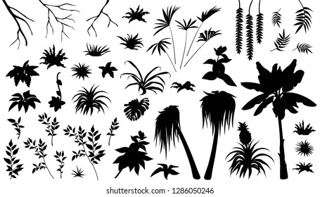 Set laser cutting exotic plants jungle. Silhouette leafs palm and liana. Isolated vector illustration on white background.