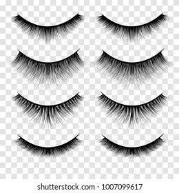 Set of Lashes Illustration