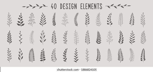 Set of laurels branches. Flower ornament dividers collection. Vintage laurel wreaths. Hand drawn vector laurel leaves decorative elements. Leaves, swirls, ornate, award, icon. Vector illustration.