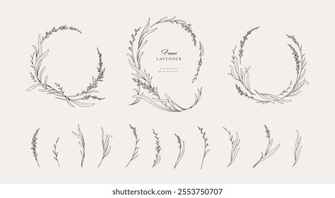 Set of lavender calligraphic design elements, floral frame and graceful branches. Wedding wildflowers for invitation save the date card. Botanical feminine rustic vector illustration.