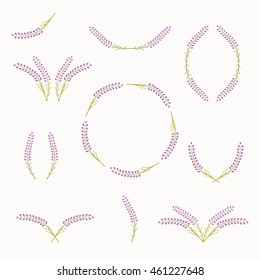 Set of lavender elements. Cute floral icons. Collection of templates. Vector illustration.