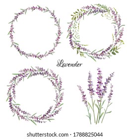 Set of lavender elements. Vector illustration.