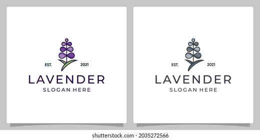 Set of lavender flower design vector templates. Logo in trendy linear style and full color.