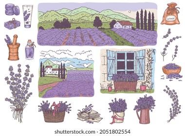 Set of lavender flowers, bouquets, rustic provence landscapes in realistic sketch vector illustration isolated. Baskets with purple flowers, sachets, lavender aromatic oils, lavender flowers field.