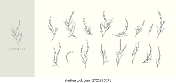 Conjunto de flores y ramas de lavanda. Elementos botánicos dibujados a mano. Guardar Elegantes flores silvestres para la invitación de la tarjeta de fecha