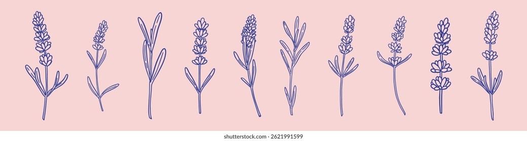 Conjunto de flores de lavanda de diferentes Formas en estilo lineal