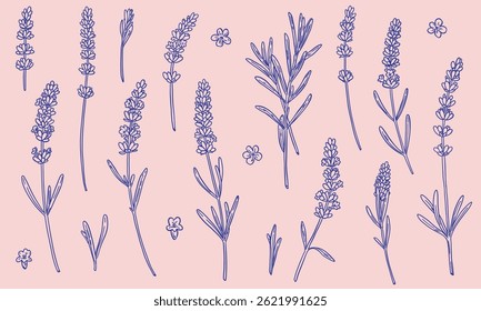 conjunto de flores de lavanda de diferentes formas em estilo linear