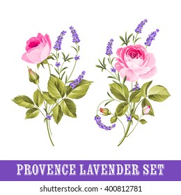 Set of lavender flowers elements