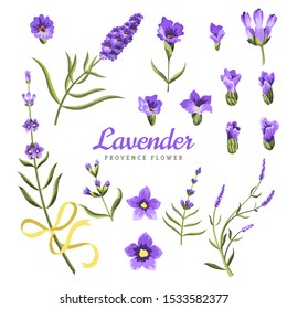 Set of lavender flowers elements. Collection of lavender flowers on a white background. Vector illustration bundle.