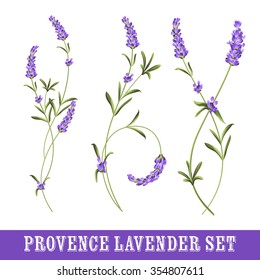 Set of lavender flowers elements. Collection of lavender flowers on a white background.  Botanical illustration. Vintage style. Making gifts of paper and textiles. Vector illustration bundle.