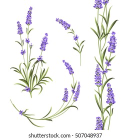 Set of lavender flowers elements. Collection of lavender flowers on a white background. Vector illustration bundle.