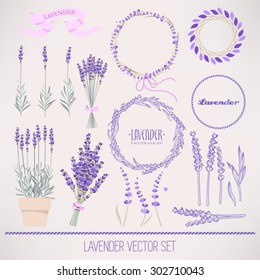 Set of lavender flowers and flower compositions