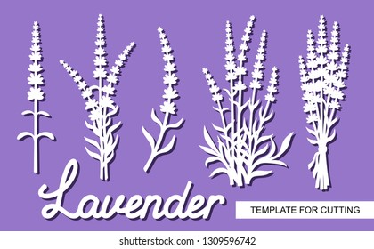 Set of lavender flowers. Silhouettes of twigs, bushes, inflorescences and the word Lavender. White objects on a purple background. Template for laser cutting, wood carving, paper cut or printing. 