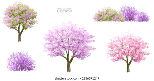 set of lavender flowers, Vector watercolor blooming flower tree or forest side view isolated on white background for landscape and architecture drawing,elements for environment and garden in spring