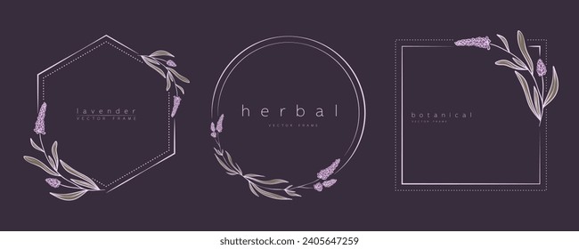 Set von Lavendel-Rahmen-Vorlagen im minimalen linearen Stil mit handgezeichneten Ästen und Blättern. Botanische Vektorgrafik für Etiketten, Corporate Identity, Hochzeitseinladung, Logo, speichern Sie das Datum