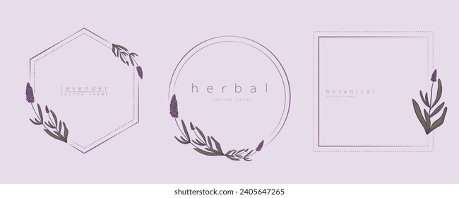 Set of lavender frame templates in minimal linear style with hand drawn branches and leaves. Botanical vector illustration for labels, corporate identity, wedding invitation, logo, save the date