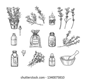 
A set of lavender. Freehand drawing. Vector. Sketch