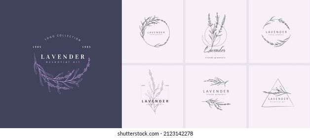 Conjunto de logotipo y rama de Lavender. Hierba de bodas, planta y monograma dibujados a mano con hojas elegantes para invitación ahorran el diseño de la tarjeta de fecha. Botánico