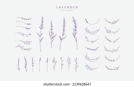 Set of Lavender logo and branch. Hand drawn wedding herb, plant and monogram with elegant leaves for invitation save the date card design. Botanical