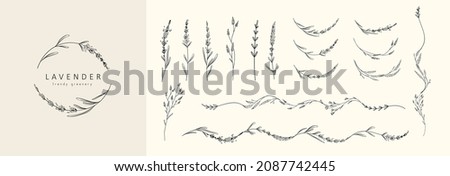 Set of Lavender logo and branch. Hand drawn wedding herb, plant and monogram with elegant leaves for invitation save the date card design. Botanical Сток-фото © 