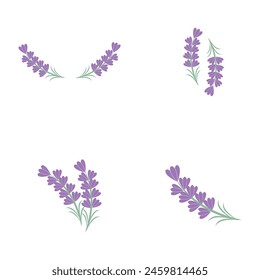 Conjunto de logotipo de lavanda y diseño de Ilustración vectorial de símbolos