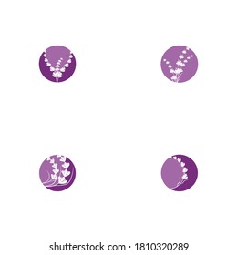 Set Lavender Logo Template vector symbol nature