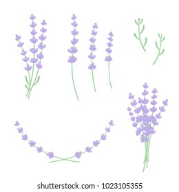 Set of lavender sprigs, flowers and leaves. Floral design elements constructor for frames and bouquets. Isolated vector clip art illustration.