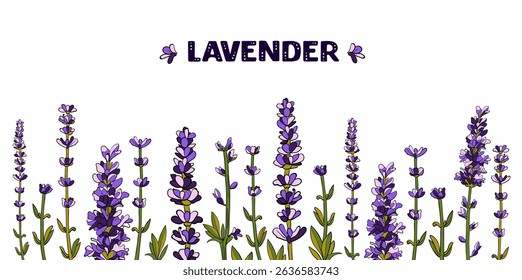 set lavender spring wild flowers with leaves. collection summer provence flower drawn in vector by hand on white isolated background