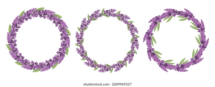 Set of lavender wreaths on a white background. Collection of floral round frames. Illustration for a wedding invitation, postcard, logo.