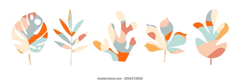 Set of leaf. Algae, sea plants. Collection of images with bright flowers, flora. Summer, spring, pattern. Abstract vivid picture. Cartoon flat vector illustrations isolated on white background