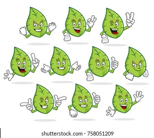A set of Leaf character design or leaf mascot, perfect for logo, web and print illustration