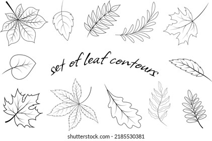 Set of leaf contours of various trees