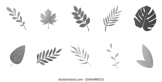 set of leaf for decoration vector on white isolated
