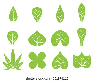 Set of leaf design in logo style, vector