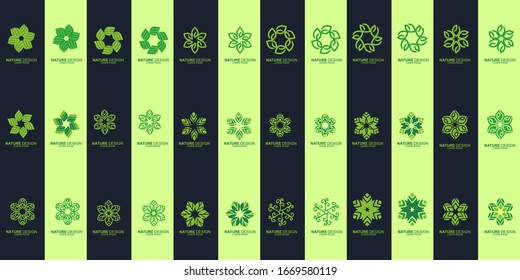 Set of Leaf design logo Template. Green Nature Icon  Design