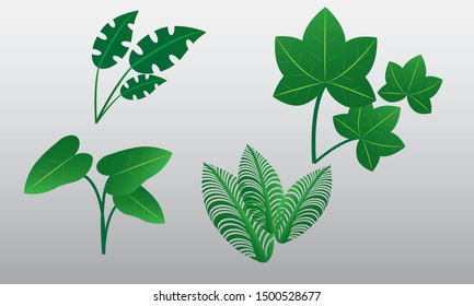 Set of leaf design on white background - vector design templates