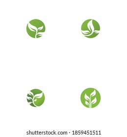 Set Leaf  ecology Logo Template vector symbol nature
