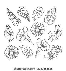 set of leaf and flower illustration isolated on white background. beautiful wedding ornament. black and white colors. monocohrome style. hand drawn vector. poster, sticker, clipart, poster, decoration