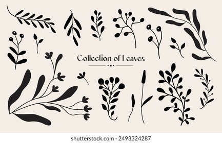 Set of leaf and flower illustration. Isolated vector graphics. Abstract tropical leaves.