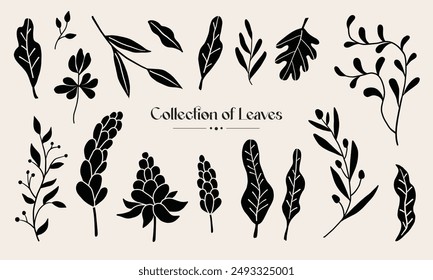Set of leaf and flower illustration. Isolated vector graphics. Abstract tropical leaves.