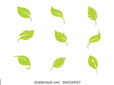 set leaf green vector illustration on background