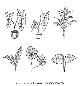 set of leaf hand drawn line doodle aesthetic decoration