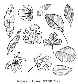set of leaf hand drawn line doodle aesthetic decoration