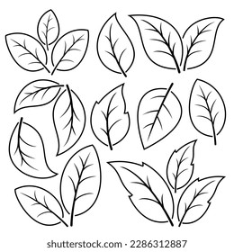 Set of leaf icon, black line on white background.