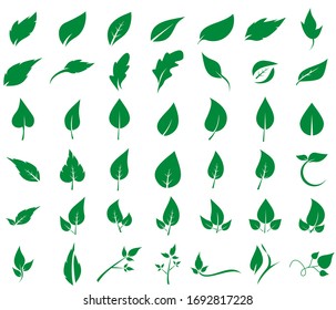 Conjunto de plantillas de diseño de iconos de hoja. Diseño de iconos de naturaleza verde